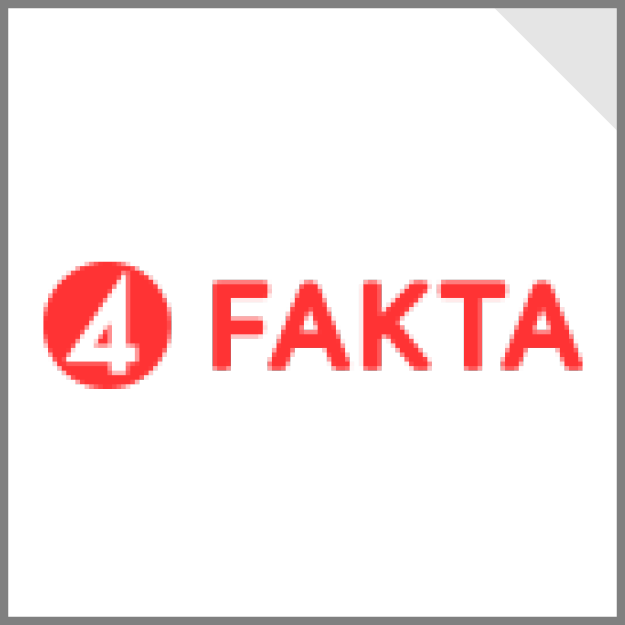 TV4 Fakta